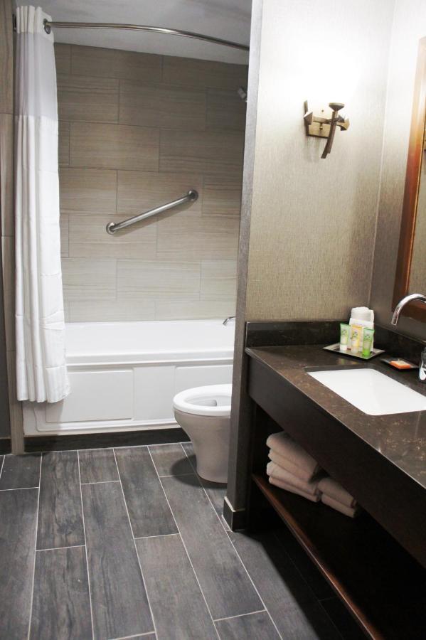 מלון ניו אורלינס Wyndham Garden Baronne Plaza מראה חיצוני תמונה