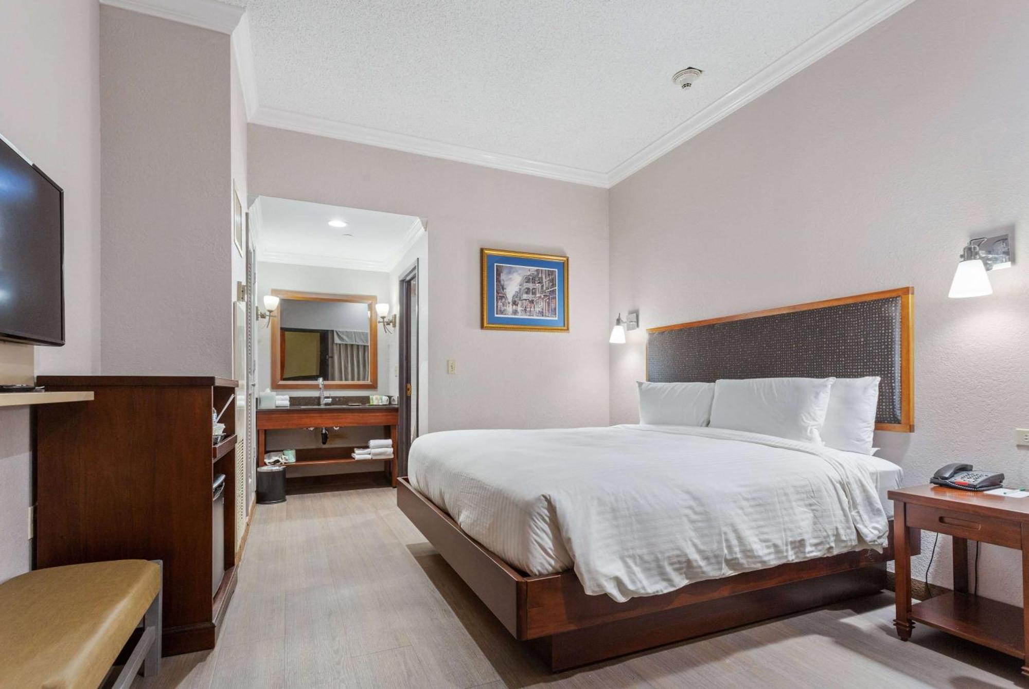 מלון ניו אורלינס Wyndham Garden Baronne Plaza מראה חיצוני תמונה