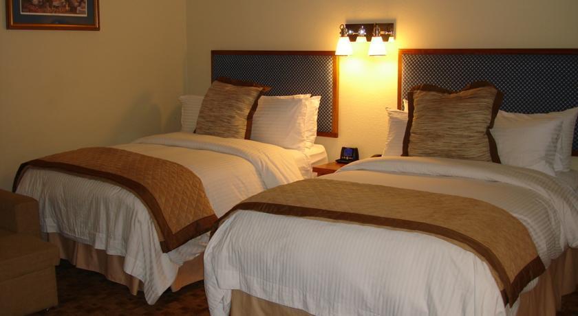מלון ניו אורלינס Wyndham Garden Baronne Plaza מראה חיצוני תמונה